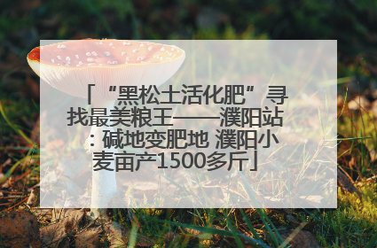 “黑松土活化肥”寻找最美粮王——濮阳站：碱地变肥地 濮阳小麦亩产1500多斤