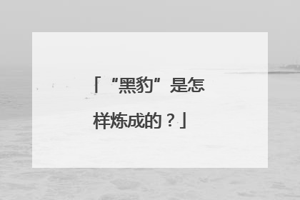 “黑豹”是怎样炼成的？