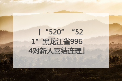 “520”“521”黑龙江省9964对新人喜结连理