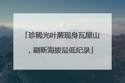 珍稀光叶蕨现身瓦屋山，刷新海拔最低纪录