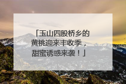 玉山四股桥乡的黄桃迎来丰收季，甜蜜诱惑来袭！