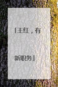 王红，有新职务