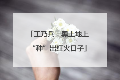 王乃兵：黑土地上“种”出红火日子