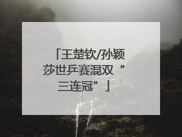 王楚钦/孙颖莎世乒赛混双“三连冠”