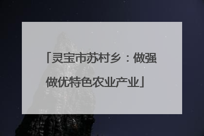 灵宝市苏村乡：做强做优特色农业产业