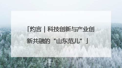 灼言｜科技创新与产业创新共融的“山东范儿”