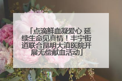 点滴鲜血凝爱心 延续生命见真情！丰宁街道联合昆明大滇医院开展无偿献血活动