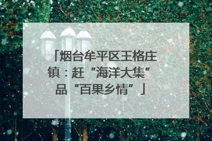 烟台牟平区王格庄镇：赶“海洋大集” 品“百果乡情”