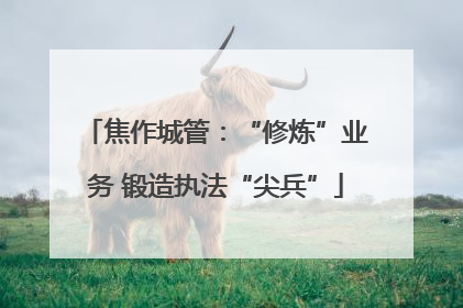 焦作城管：“修炼”业务 锻造执法“尖兵”