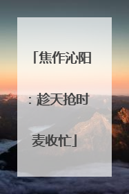 焦作沁阳：趁天抢时麦收忙