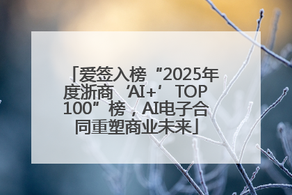 爱签入榜“2025年度浙商‘AI+’TOP100”榜，AI电子合同重塑商业未来