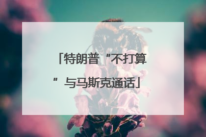 特朗普“不打算”与马斯克通话