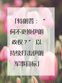 特朗普：“何不更换伊朗政权？” 以持续打击伊朗军事目标