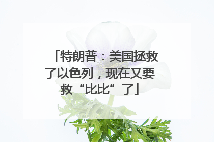 特朗普：美国拯救了以色列，现在又要救“比比”了