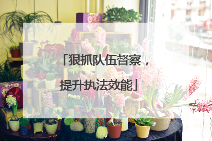 狠抓队伍督察，提升执法效能