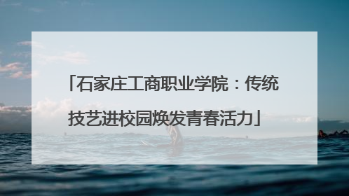 石家庄工商职业学院：传统技艺进校园焕发青春活力