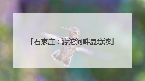 石家庄：滹沱河畔夏意浓