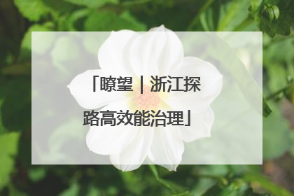 瞭望｜浙江探路高效能治理