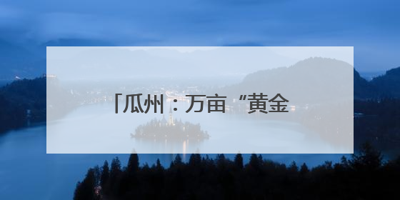 瓜州：万亩“黄金草”迎来丰收季