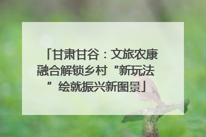 甘肃甘谷：文旅农康融合解锁乡村“新玩法”绘就振兴新图景