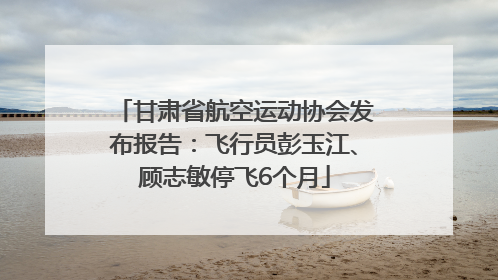 甘肃省航空运动协会发布报告：飞行员彭玉江、顾志敏停飞6个月