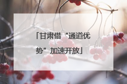 甘肃借“通道优势”加速开放
