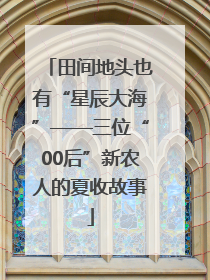田间地头也有“星辰大海”——三位“00后”新农人的夏收故事