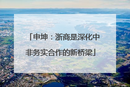 申坤：浙商是深化中非务实合作的新桥梁