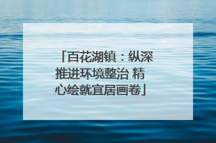 百花湖镇：纵深推进环境整治 精心绘就宜居画卷