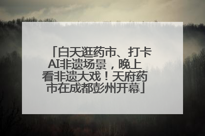 白天逛药市、打卡AI非遗场景，晚上看非遗大戏！天府药市在成都彭州开幕