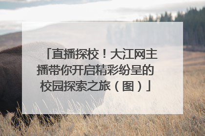 直播探校！大江网主播带你开启精彩纷呈的校园探索之旅（图）