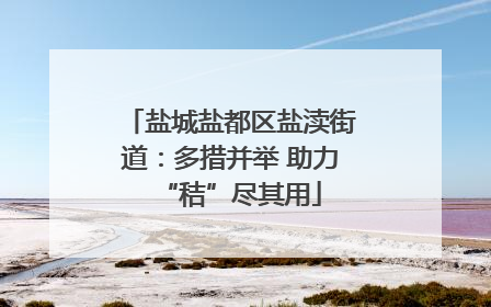 盐城盐都区盐渎街道：多措并举 助力“秸”尽其用