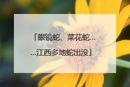 眼镜蛇、菜花蛇……江西多地蛇出没