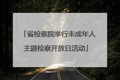 省检察院举行未成年人主题检察开放日活动