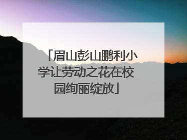 眉山彭山鹏利小学让劳动之花在校园绚丽绽放