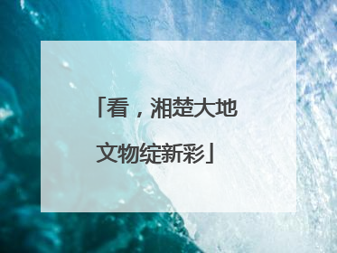 看，湘楚大地文物绽新彩