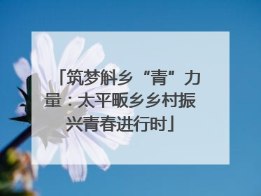 筑梦斛乡“青”力量：太平畈乡乡村振兴青春进行时