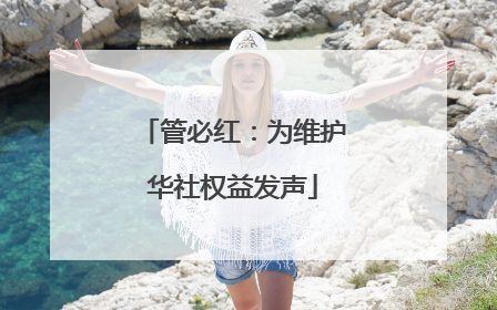 管必红：为维护华社权益发声
