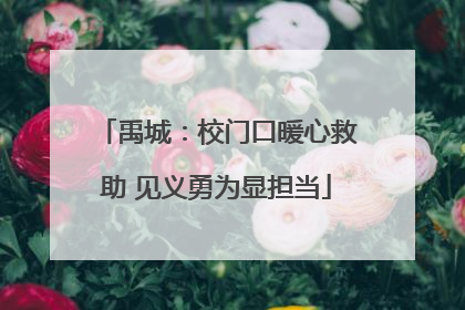 禹城：校门口暖心救助 见义勇为显担当