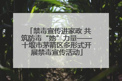 禁毒宣传进家政 共筑防毒“她”力量——十堰市茅箭区多形式开展禁毒宣传活动