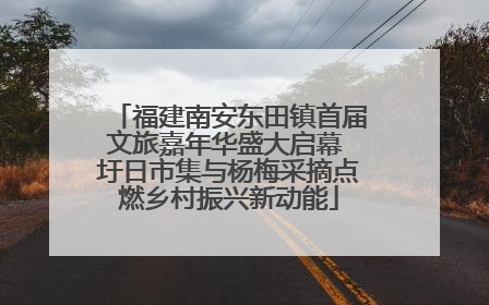 福建南安东田镇首届文旅嘉年华盛大启幕 圩日市集与杨梅采摘点燃乡村振兴新动能