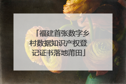 福建首张数字乡村数据知识产权登记证书落地莆田