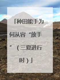 种田能手为何从容“放手”（三夏进行时）