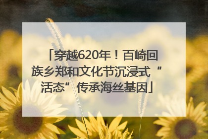 穿越620年！百崎回族乡郑和文化节沉浸式“活态”传承海丝基因
