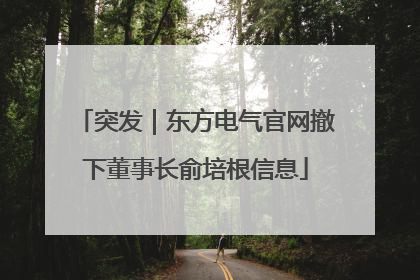 突发｜东方电气官网撤下董事长俞培根信息