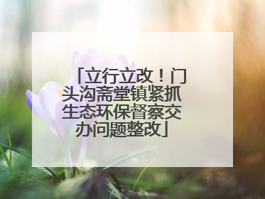 立行立改！门头沟斋堂镇紧抓生态环保督察交办问题整改