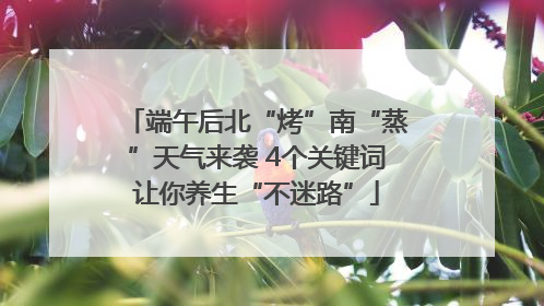 端午后北“烤”南“蒸”天气来袭 4个关键词让你养生“不迷路”