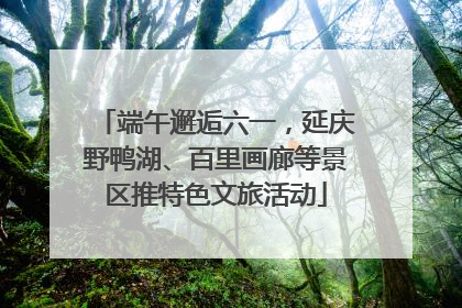 端午邂逅六一，延庆野鸭湖、百里画廊等景区推特色文旅活动