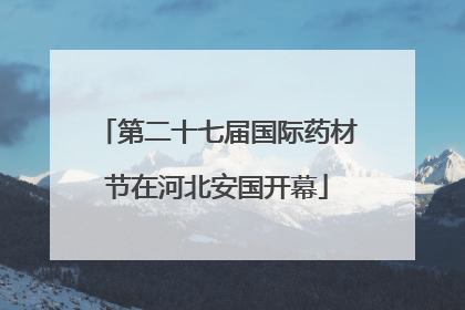 第二十七届国际药材节在河北安国开幕