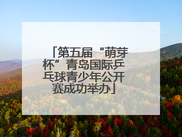 第五届“萌芽杯”青岛国际乒乓球青少年公开赛成功举办